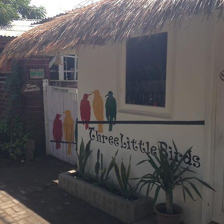 Three Little Birds Homestay 길리트라왕안 외부 사진