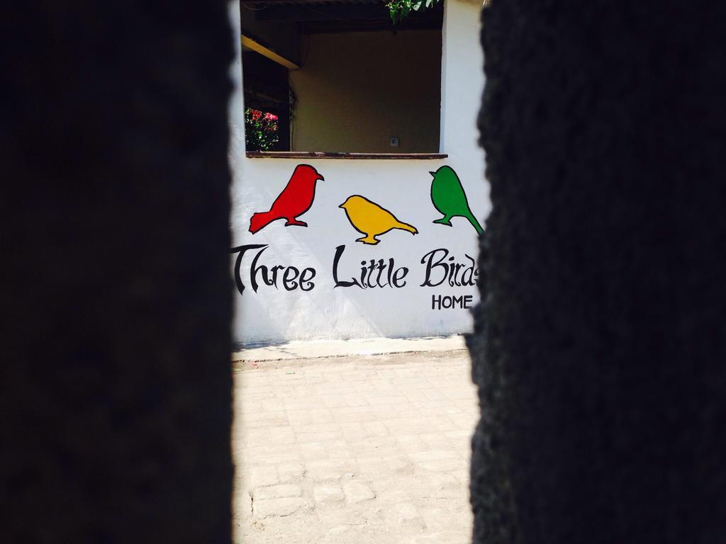 Three Little Birds Homestay 길리트라왕안 외부 사진